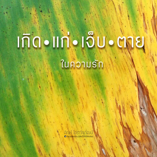 My Image 12